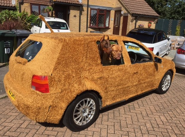 Το πρώτο γούνινο αυτοκίνητο είναι γεγονός -Το «έντυσε» άνδρας για να πηγαίνει βόλτα τα κατοικίδιά του [εικόνες] | iefimerida.gr 2