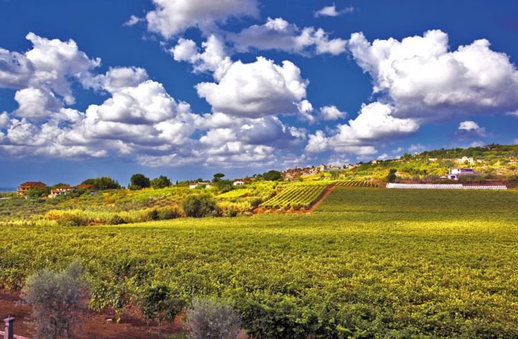 4 πράγματα που πρέπει να κάνεις στη Ρώμη όταν έχεις ήδη πάει στα βασικά [εικόνες] | iefimerida.gr 7