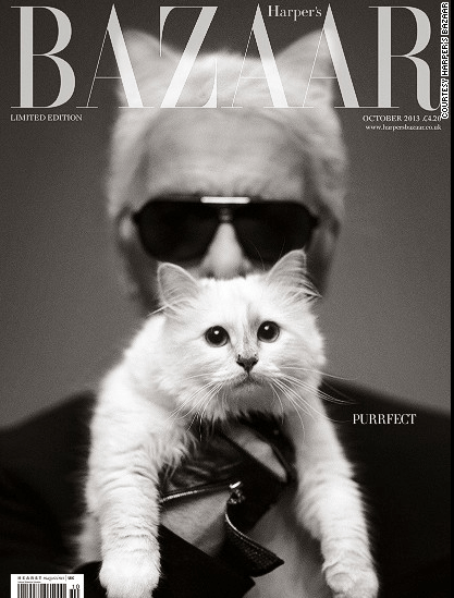 Ιδιωτικό τζετ, σωματοφύλακα, δύο υπηρεσίες και προσωπικό σεφ έχει η... γάτα του Λάγκερφελντ [εικόνες] | iefimerida.gr 4