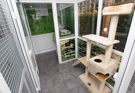 Απίστευτο: Εφτιαξαν ξενοδοχείο 5 αστέρων για... γάτες [εικόνες] | iefimerida.gr 6