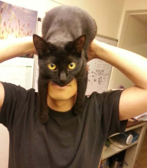 Catman: Η νέα τρέλα για όσους έχουν γάτα που σαρώνει στο διαδίκτυο [εικόνες]  | iefimerida.gr 0