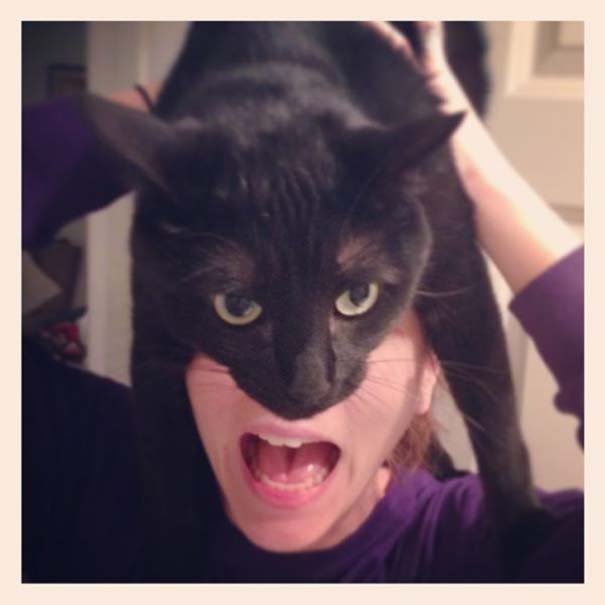 Catman: Η νέα τρέλα για όσους έχουν γάτα που σαρώνει στο διαδίκτυο [εικόνες]  | iefimerida.gr 1