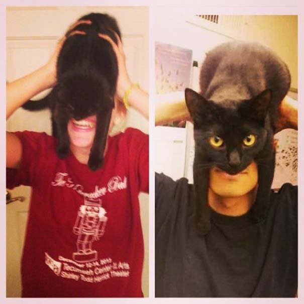 Catman: Η νέα τρέλα για όσους έχουν γάτα που σαρώνει στο διαδίκτυο [εικόνες]  | iefimerida.gr 2