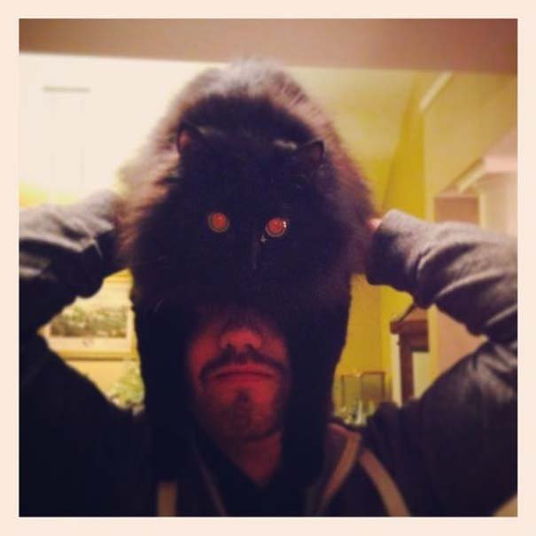 Catman: Η νέα τρέλα για όσους έχουν γάτα που σαρώνει στο διαδίκτυο [εικόνες]  | iefimerida.gr 3