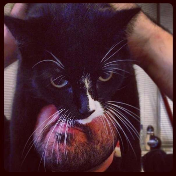 Catman: Η νέα τρέλα για όσους έχουν γάτα που σαρώνει στο διαδίκτυο [εικόνες]  | iefimerida.gr 4