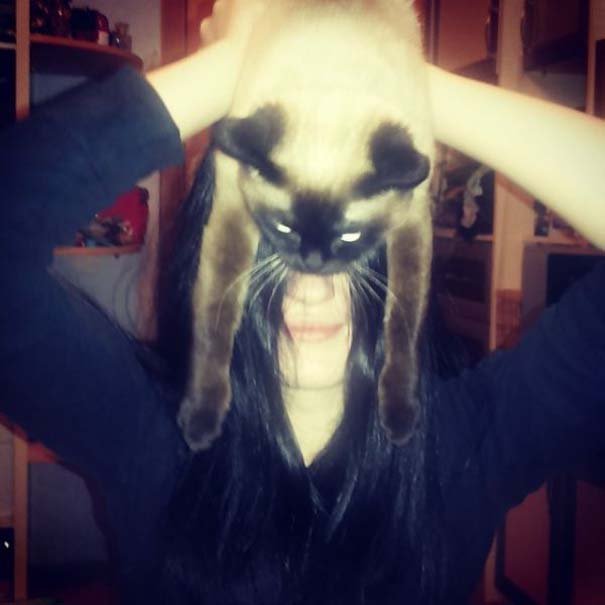 Catman: Η νέα τρέλα για όσους έχουν γάτα που σαρώνει στο διαδίκτυο [εικόνες]  | iefimerida.gr 6