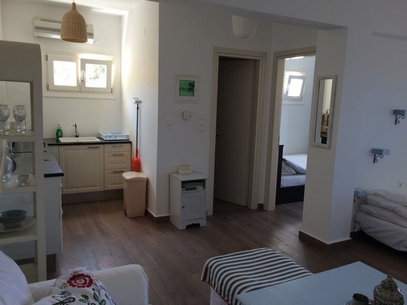 H δουλειά στη Σύρο που έχει γίνει viral: Κέρδισε χρήματα φροντίζοντας 55 γάτες [εικόνες] | iefimerida.gr 3