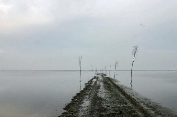 Αυτοί οι δρόμοι χωρίζουν τη θάλασσα κυριολεκτικά στα δύο –Μαγευτικές διαδρομές που μοιάζουν με ψεύτικες [εικόνες]  | iefimerida.gr 6