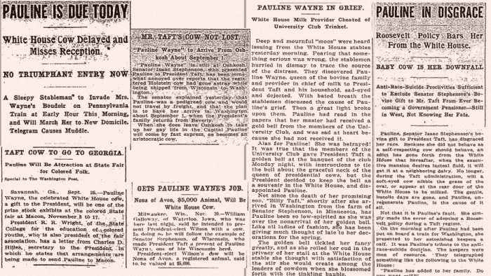 Γιατί η Washington Post επί χρόνια προσπαθούσε να πάρει συνέντευξη από μία αγελάδα [εικόνες] | iefimerida.gr 3