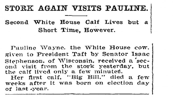 Γιατί η Washington Post επί χρόνια προσπαθούσε να πάρει συνέντευξη από μία αγελάδα [εικόνες] | iefimerida.gr 0