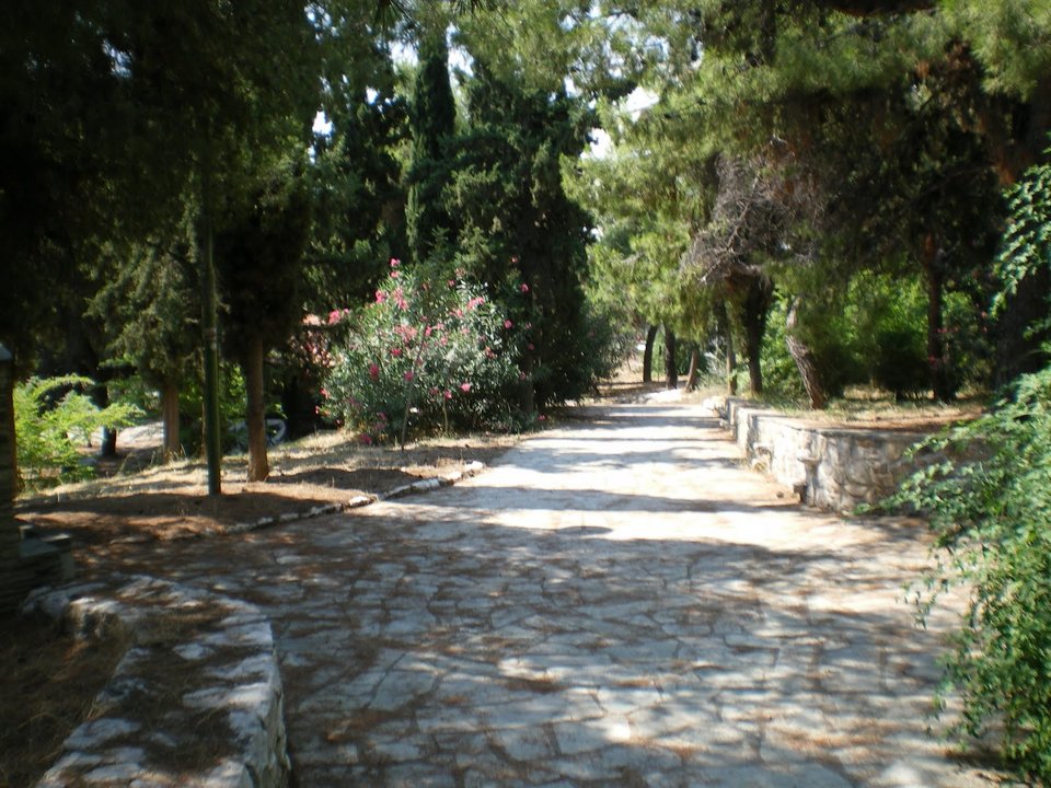 10 συν 2 προτάσεις για να πιάσετε τον Μάη -Πράσινες οάσεις στην Αττική [εικόνες] | iefimerida.gr 4