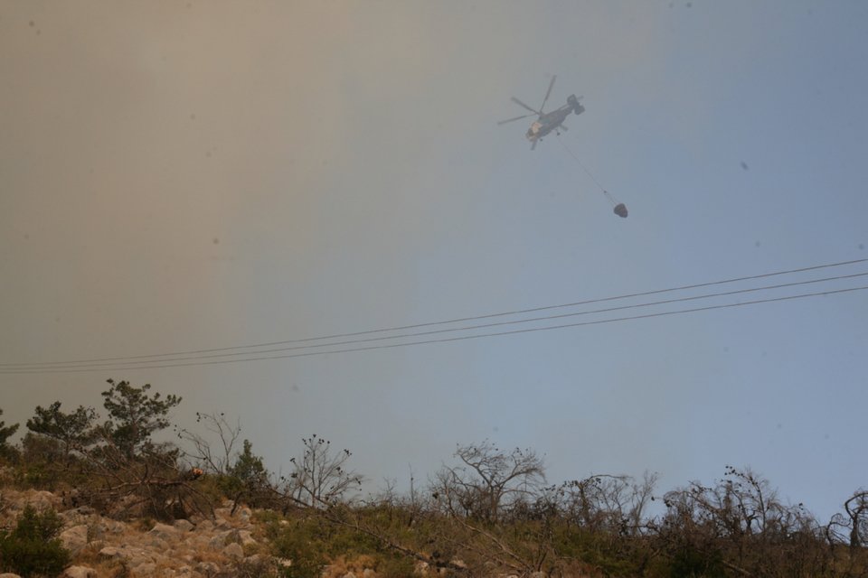 Εικόνες «Αποκάλυψης» στη Χίο μετά την καταστροφική πυρκαγιά -Θλιβερό τοπίο [εικόνες & βίντεο] | iefimerida.gr 3