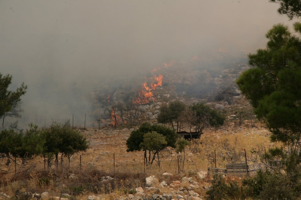 Εικόνες «Αποκάλυψης» στη Χίο μετά την καταστροφική πυρκαγιά -Θλιβερό τοπίο [εικόνες & βίντεο] | iefimerida.gr 4