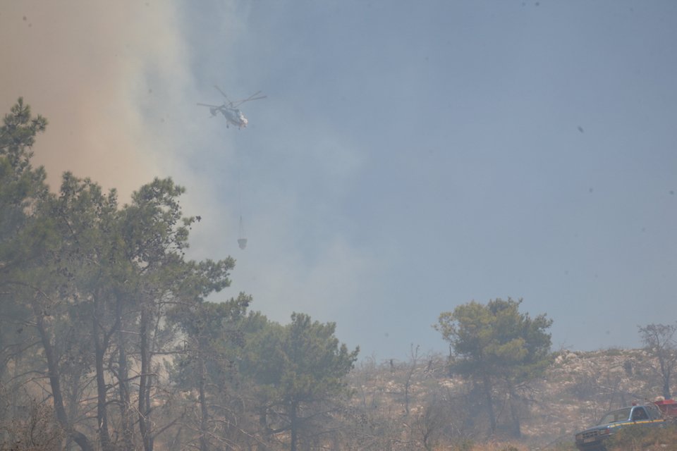 Εικόνες «Αποκάλυψης» στη Χίο μετά την καταστροφική πυρκαγιά -Θλιβερό τοπίο [εικόνες & βίντεο] | iefimerida.gr 6