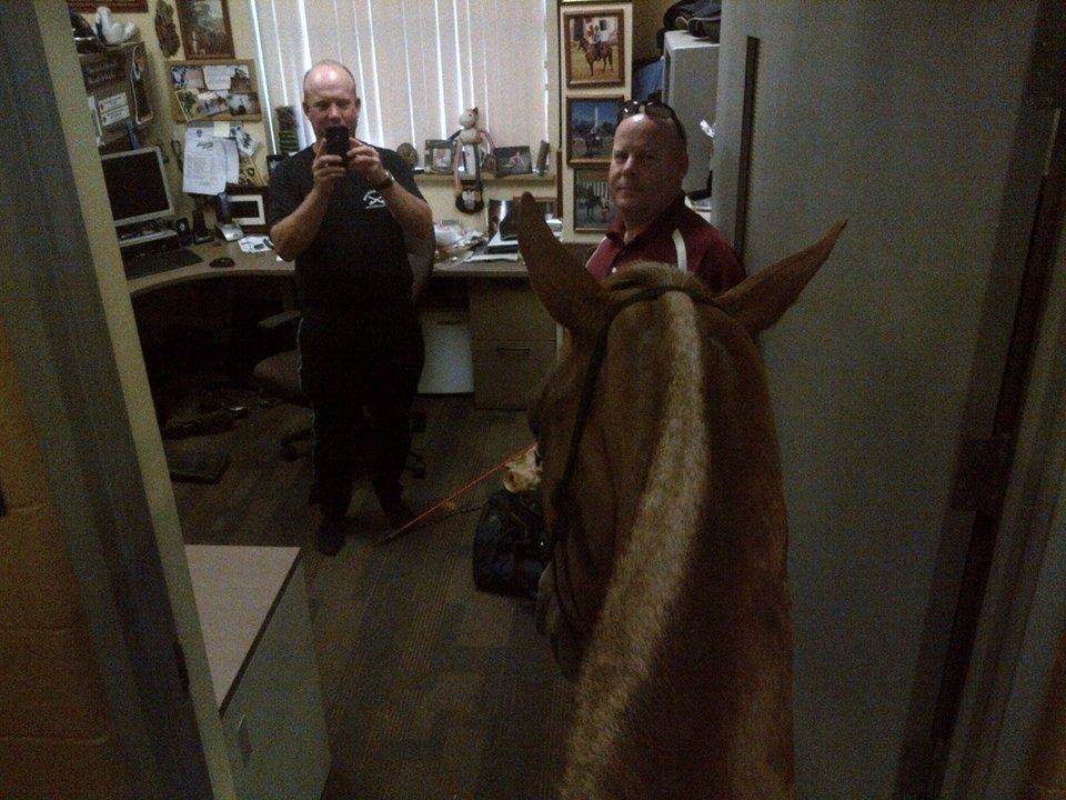 ΗΠΑ: Αλογο της αστυνομίας τράκαρε με φορτηγό και σκοτώθηκε -Η φωτογραφία με τον συγκλονισμένο αναβάτη του που έγινε viral [εικόνες] | iefimerida.gr 4