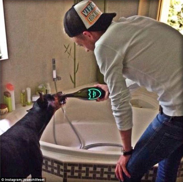 Τα... κακομαθημένα πλούσια σκυλιά του Instagram -Τετράποδα με μαργαριτάρια, γούνες, ταξίδια με lear jet και σαμπάνιες [εικόνες] | iefimerida.gr 7