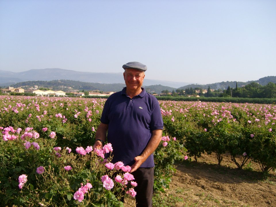 Εκεί που γίνεται το άρωμα Chanel No5 -Στα χωράφια με τα ροδοπέταλα [εικόνες] | iefimerida.gr 3