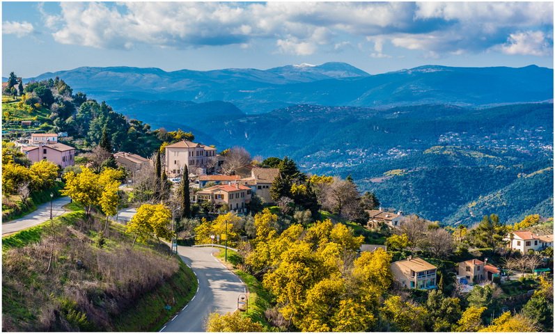 Εκεί που γίνεται το άρωμα Chanel No5 -Στα χωράφια με τα ροδοπέταλα [εικόνες] | iefimerida.gr 4