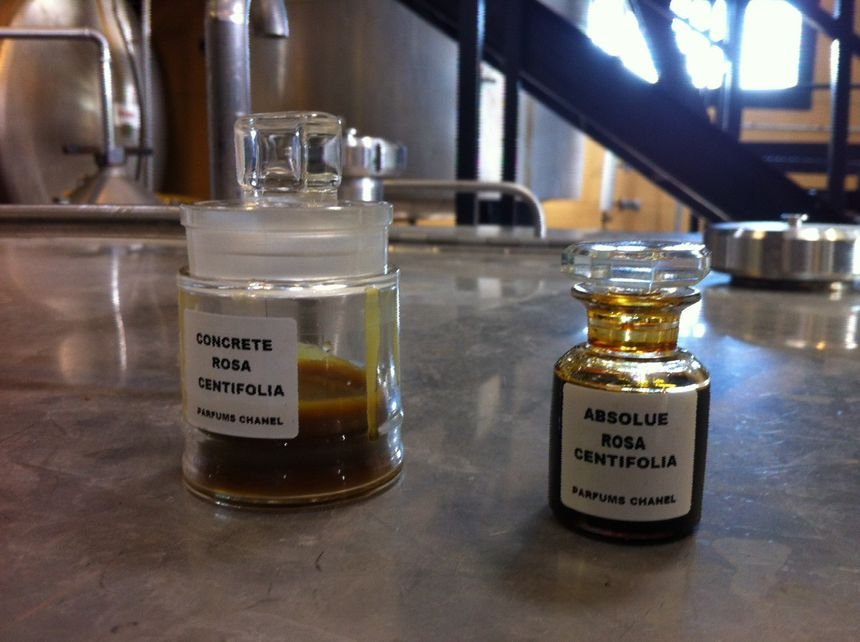 Εκεί που γίνεται το άρωμα Chanel No5 -Στα χωράφια με τα ροδοπέταλα [εικόνες] | iefimerida.gr 7