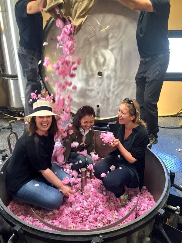 Εκεί που γίνεται το άρωμα Chanel No5 -Στα χωράφια με τα ροδοπέταλα [εικόνες] | iefimerida.gr 9