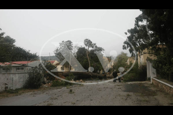 Θυελλώδεις άνεμοι σαρώνουν τα Χανιά -Ενας 64χρονος νεκρός, ένας τραυματίας, έκλεισαν τα σχολεία [εικόνες] | iefimerida.gr 1