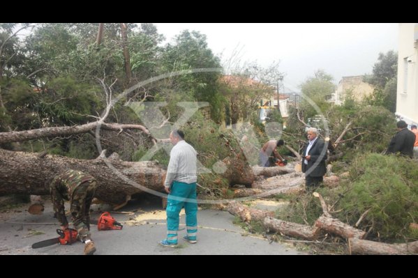Θυελλώδεις άνεμοι σαρώνουν τα Χανιά -Ενας 64χρονος νεκρός, ένας τραυματίας, έκλεισαν τα σχολεία [εικόνες] | iefimerida.gr 2