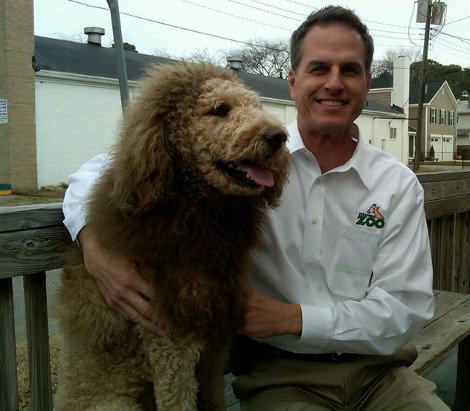 Ο σκύλος που όλοι νομίζουν ότι είναι... λιοντάρι [εικόνες] | iefimerida.gr 1