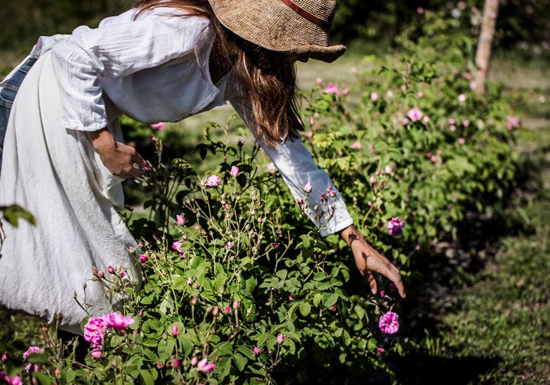Σε αυτό το σπίτι με τις 10.000 τριανταφυλλιές εμπνεόταν ο Dior τα αρώματά του [βίντεο] | iefimerida.gr 1