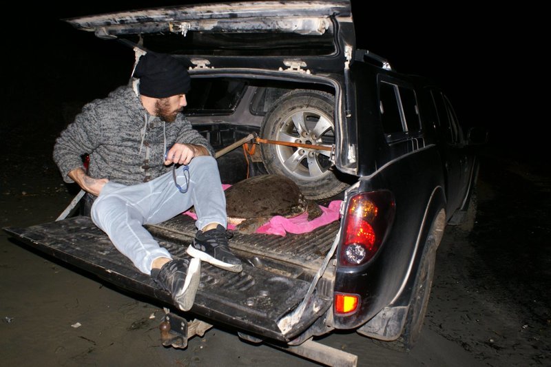 Κεφαλονιά: Διέσωσαν χελώνα που χτυπήθηκε με τρίαινα στο κεφάλι [εικόνες] | iefimerida.gr 6