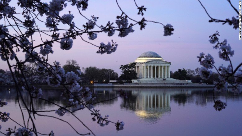 Cherry Βlossoms: Ανθισαν οι περίφημες κερασιές της Ουάσινγκτον -Στα ροζ η πόλη [εικόνες]  | iefimerida.gr 22