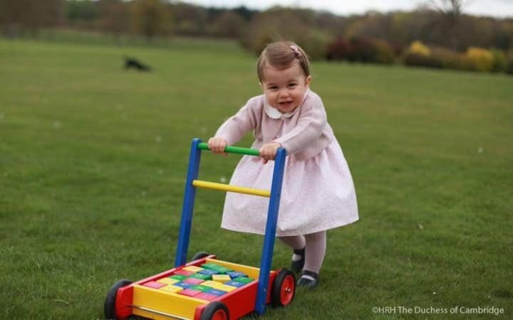 Η Μίντλετον φωτογράφισε την πριγκίπισσα Σάρλοτ -Εγινε 2 ετών, άλλαξε πολύ [εικόνες] | iefimerida.gr 5