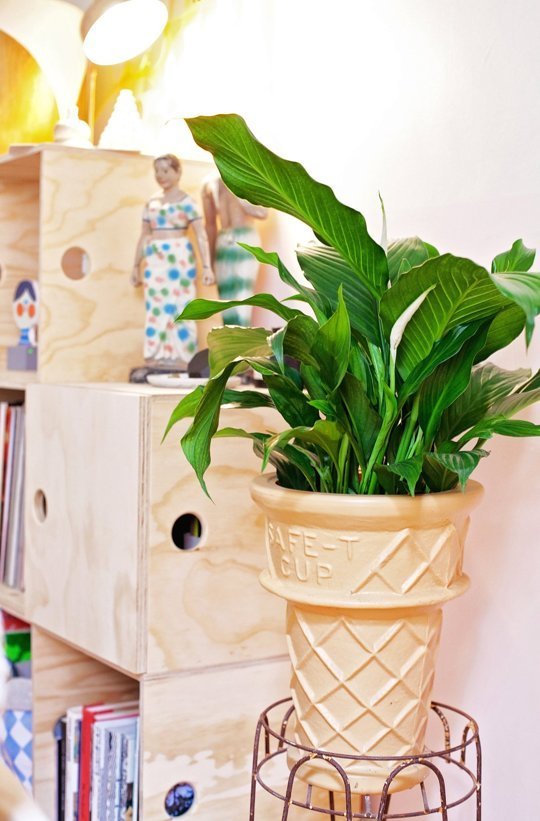 7 πράγματα που οι σικάτοι άνθρωποι έχουν σπίτι τους [εικόνες] | iefimerida.gr 5