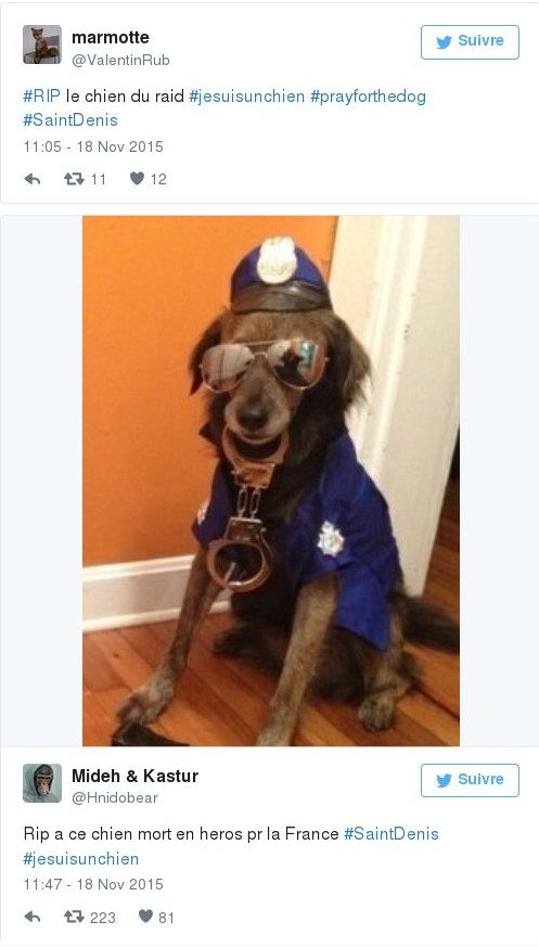 #jesuisunchien: Θλίψη στο Twitter για τον σκύλο της επίλεκτης ομάδας RAID που σκότωσαν οι τρομοκράτες [εικόνες] | iefimerida.gr 0