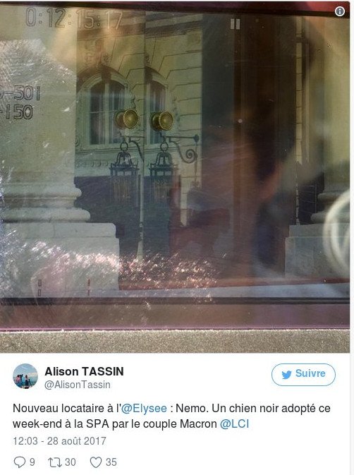 Το ζεύγος Μακρόν υιοθέτησε μόλις έναν σκύλο, με το όνομα Νέμο [εικόνα] | iefimerida.gr 0