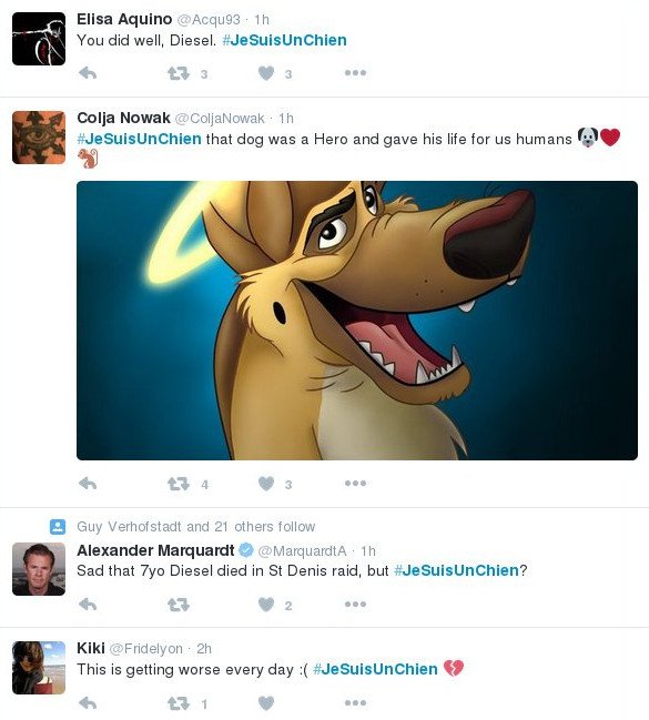 #jesuisunchien: Θλίψη στο Twitter για τον σκύλο της επίλεκτης ομάδας RAID που σκότωσαν οι τρομοκράτες [εικόνες] | iefimerida.gr 2