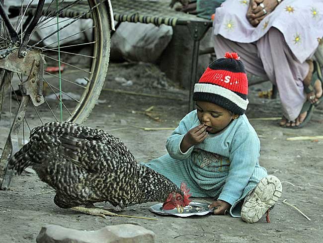 Μαθήματα τρυφερότητας από τα παιδιά του κόσμου και τους τετράποδους φίλους τους [εικόνες] | iefimerida.gr 3
