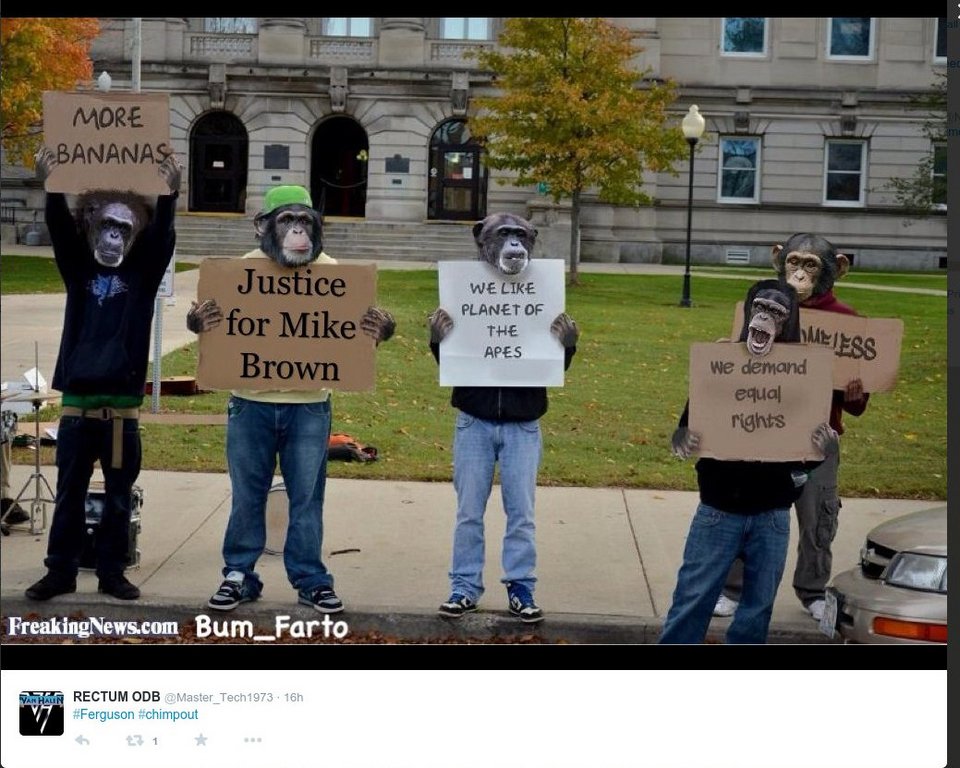 Διχασμός στις ΗΠΑ για τον Μάικλ Μπράουν: Ρατσιστικό παραλήρημα στα social media και ένα hashtag που προκαλεί [εικόνες] | iefimerida.gr 3