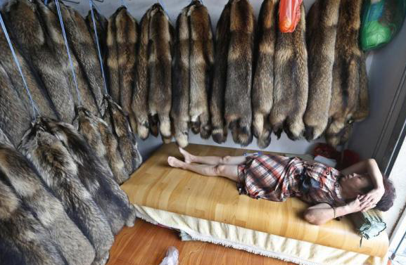 Στα άδυτα της «πολυτέλειας»-Συγκλονιστικές φωτογραφίες από Κινέζους εργάτες στη μεγαλύτερη κοινότητα παραγωγής γούνας [εικόνες]  | iefimerida.gr 0