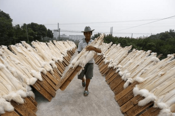 Στα άδυτα της «πολυτέλειας»-Συγκλονιστικές φωτογραφίες από Κινέζους εργάτες στη μεγαλύτερη κοινότητα παραγωγής γούνας [εικόνες]  | iefimerida.gr 1