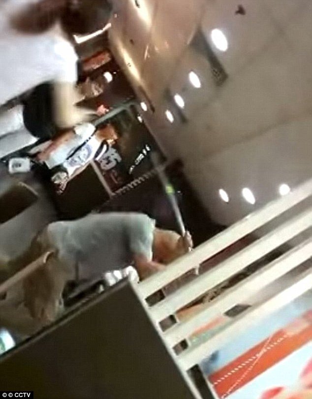 Κίνα: Πατέρας και κόρη εκτελέστηκαν για την εν ψυχρώ δολοφονία γυναίκας με σιδηρολοστό μέσα στα McDonald's [εικόνες & βίντεο] | iefimerida.gr 2