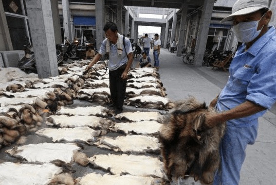 Στα άδυτα της «πολυτέλειας»-Συγκλονιστικές φωτογραφίες από Κινέζους εργάτες στη μεγαλύτερη κοινότητα παραγωγής γούνας [εικόνες]  | iefimerida.gr 3