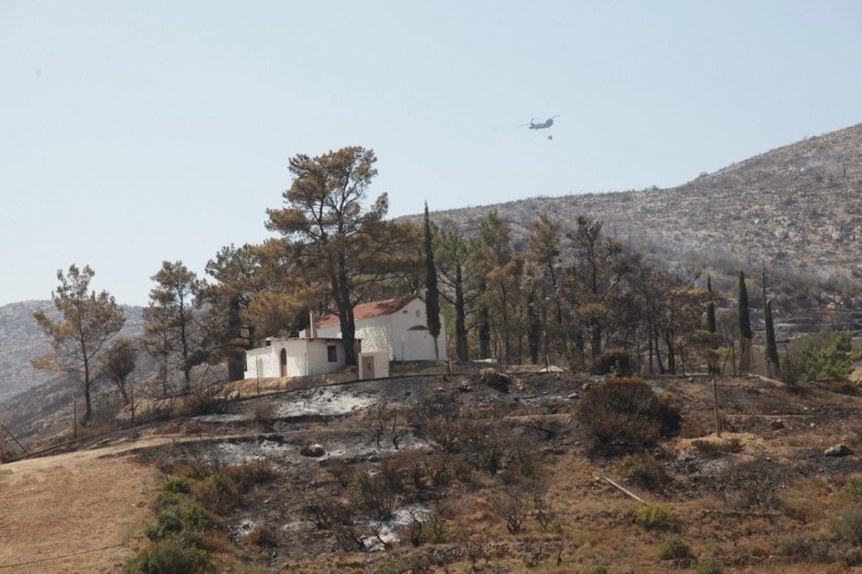 Η επόμενη ημέρα στη Χίο: Πάνω από 35.000 μαστιχόδεντρα έγιναν στάχτη [εικόνες] | iefimerida.gr 4