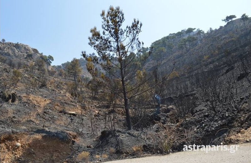 Κρανίου τόπος η Χίος από την πυρκαγιά -Στην εντατική 64χρονη με εγκαύματα, δύο ακόμη τραυματίες [εικόνες] | iefimerida.gr 3