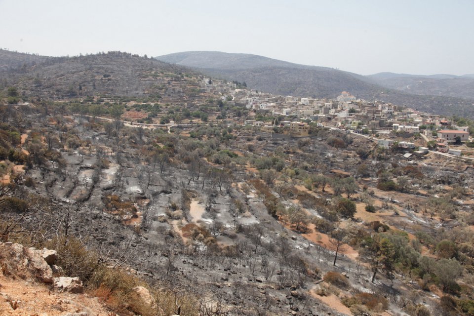 Η επόμενη ημέρα στη Χίο: Πάνω από 35.000 μαστιχόδεντρα έγιναν στάχτη [εικόνες] | iefimerida.gr 1