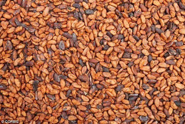 Ανατροπή: 10 εκατ. ετών η σοκολάτα - Τι έδειξε νέα έρευνα [εικόνες] | iefimerida.gr 1