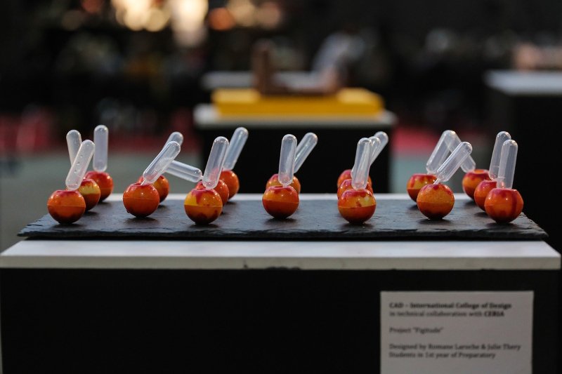 Salon du chocolat: Σοκολατένιος πειρασμός σε έκθεση στις Βρυξέλλες [εικόνες] | iefimerida.gr 7