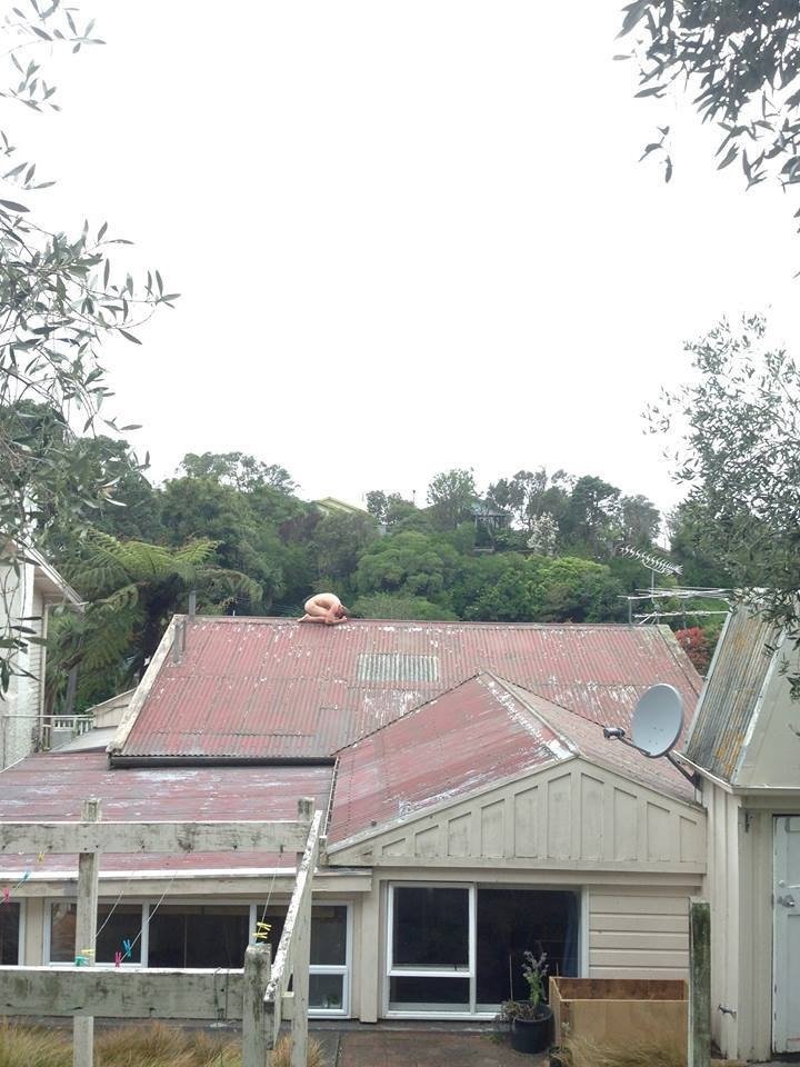 Νέα τρέλα στο Instagram: Γδύνονται και ποζάρουν δημοσίως ως «κοτόπουλα» [εικόνες] | iefimerida.gr 1