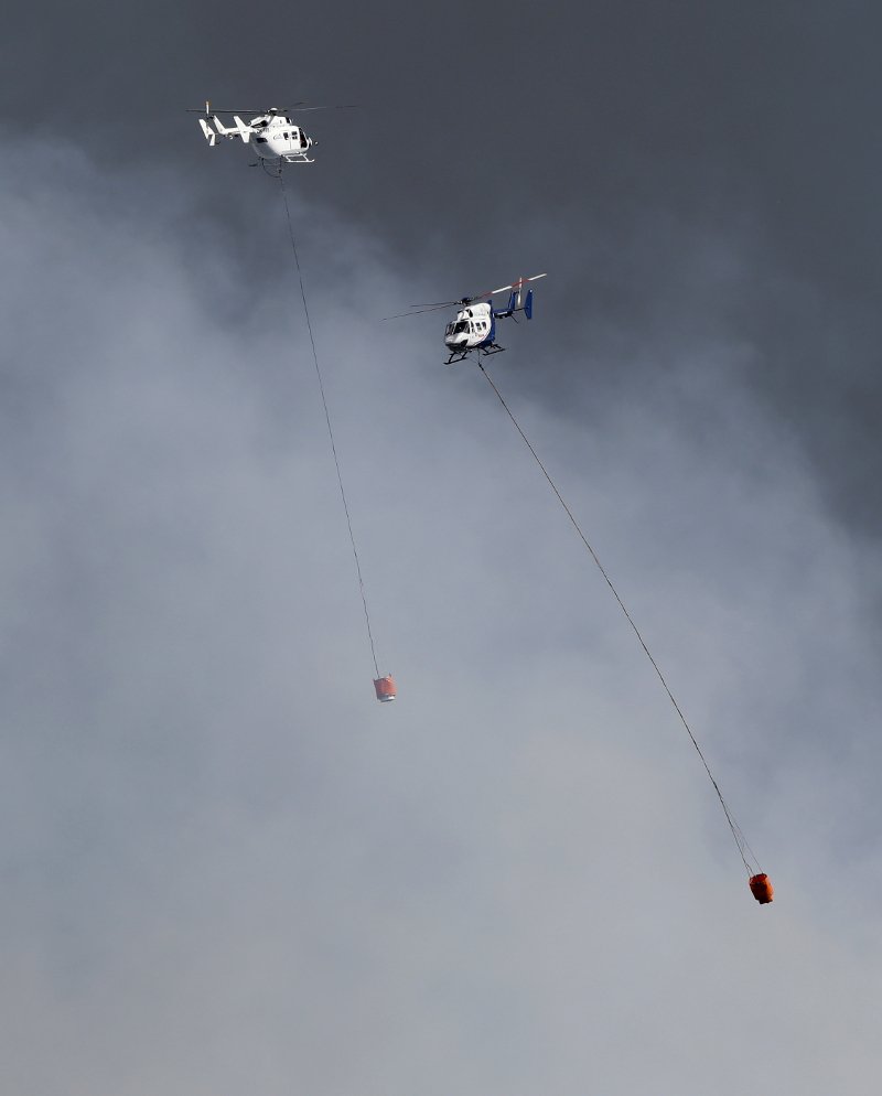 Κόλαση φωτιάς στη Νέα Ζηλανδία: αποτεφρώθηκαν σπίτια, απομακρύνθηκαν κάτοικοι [εικόνες & βίντεο]  | iefimerida.gr 2