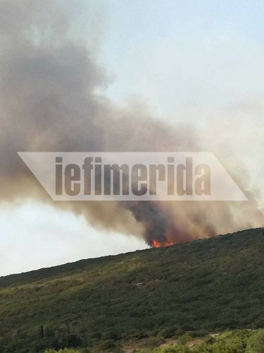 Πύρινη κόλαση στα Κύθηρα: Εκκενώθηκε κι άλλο χωριό, χωρίς ρεύμα το νησί [εικόνες & βίντεο] | iefimerida.gr 6