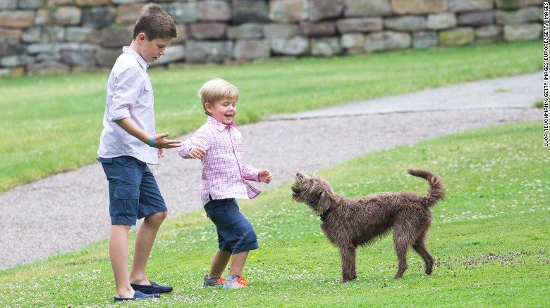 Παραλίγο να πνιγεί ο 10χρονος πρίγκιπας της Δανίας -Ναυαγοσώστης τον έσωσε από τα κύματα [εικόνες] | iefimerida.gr 0